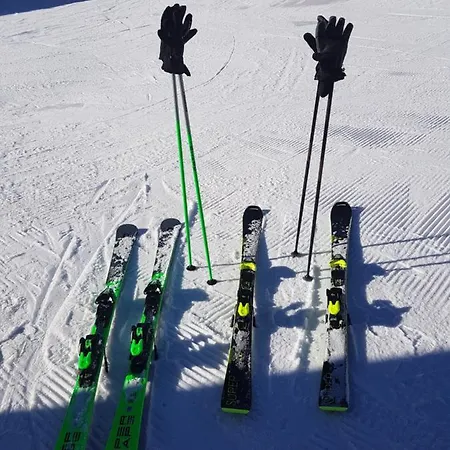Almrausch Gæstehus Mittelberg