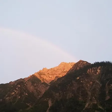 Almrausch *