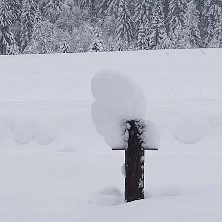 Pensión Almrausch Mittelberg