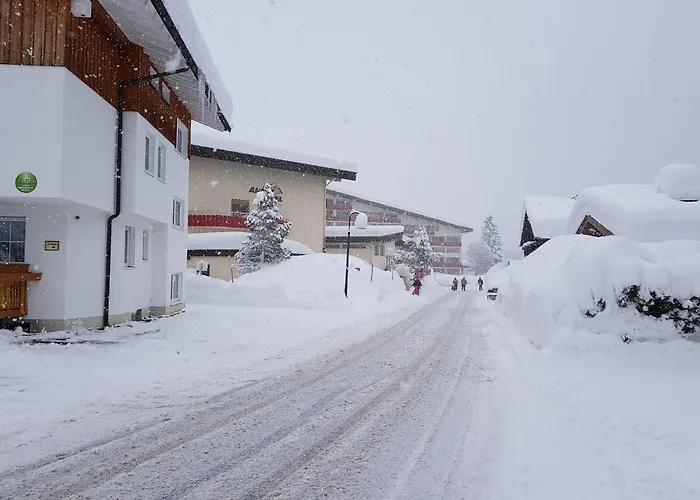 Gasthof Almrausch Mittelberg